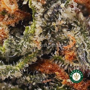 Buy weed Peach Runtz AA wc cannabis weed dispensary & online pot shop
