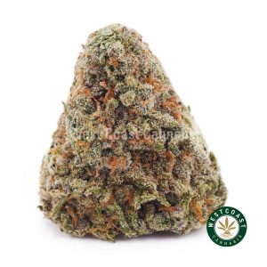 Buy weed Blue Dream AAA wc cannabis weed dispensary & online pot shop
