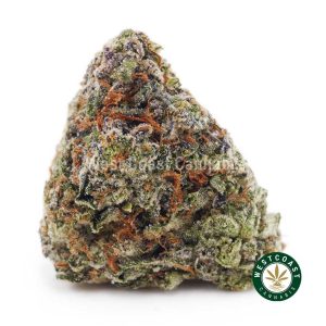 Buy weed Master Jedi AAAA wc cannabis weed dispensary & online pot shop