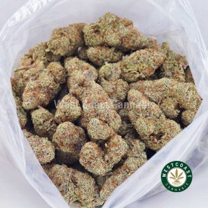 Buy weed Alien Cookies AAAA wc cannabis weed dispensary & online pot shop