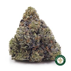 Buy weed God’s Breath AAAA+ wc cannabis weed dispensary & online pot shop