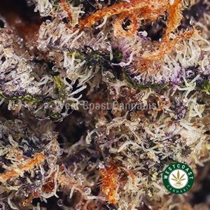 Buy weed Animal Cookies AAA wc cannabis weed dispensary & online pot shop
