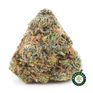Buy weed Acapulco Gold AAA wc cannabis weed dispensary & online pot shop
