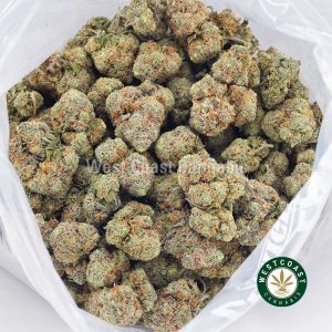 Buy weed Amnesia Haze AAA wc cannabis weed dispensary & online pot shop