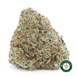 Buy weed Citrus Haze AA wc cannabis weed dispensary & online pot shop