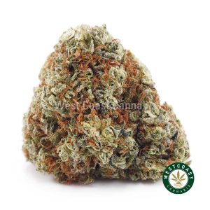 Buy weed Black Cherry Punch AA wc cannabis weed dispensary & online pot shop