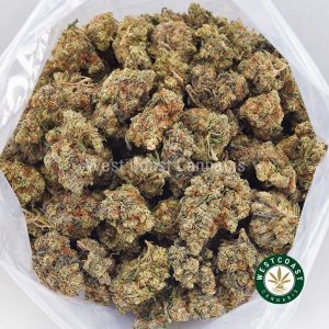 Buy weed Black Cherry Punch AA wc cannabis weed dispensary & online pot shop