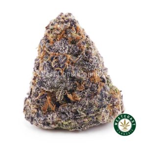 Buy weed Purple Punch AAAA wc cannabis weed dispensary & online pot shop