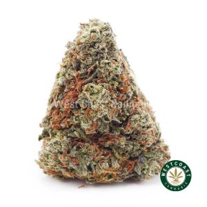 Buy weed Blackberry Pie AA wc cannabis weed dispensary & online pot shop