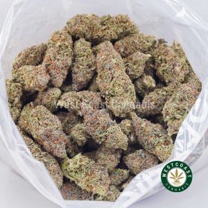 Buy weed Hawaiian Punch AAAA wc cannabis weed dispensary & online pot shop