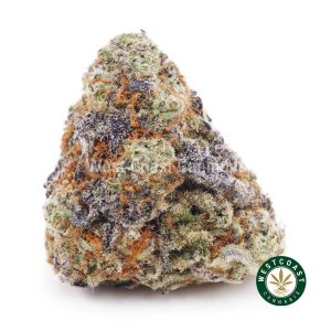 Buy weed Forum Cut Cookies AA wc cannabis weed dispensary & online pot shop