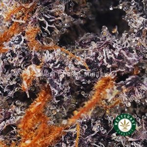 Buy weed Mendocino Purps AAAA wc cannabis weed dispensary & online pot shop