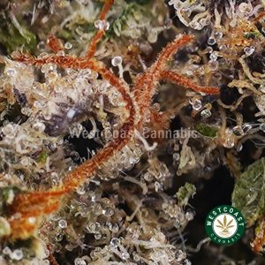 Buy weed Frosty Flakes AAAA+ wc cannabis weed dispensary & online pot shop