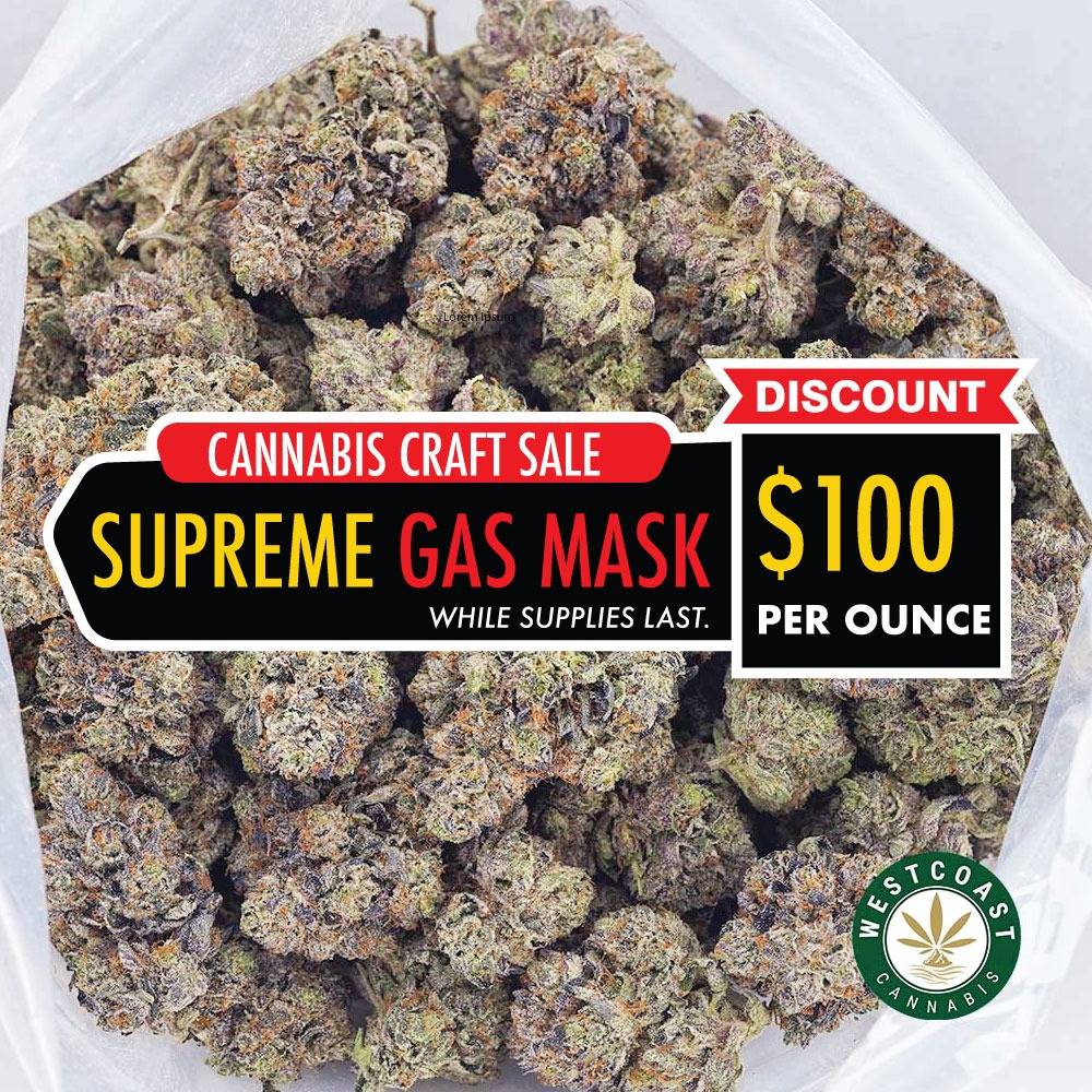 wcc product special banner supreme gas mask