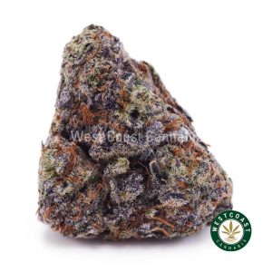 Buy weed Chocolope AAA wc cannabis weed dispensary & online pot shop