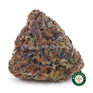Buy weed Sherbert Cookies AAA wc cannabis weed dispensary & online pot shop