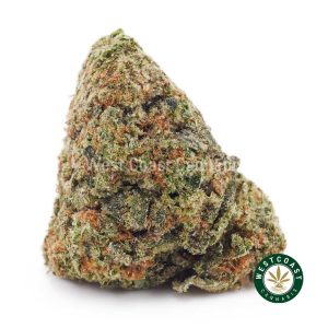 Buy weed Mango Haze AAA wc cannabis weed dispensary & online pot shop