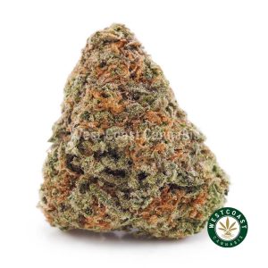 Buy weed Girl Scout Cookies (GSC) AAA wc cannabis weed dispensary & online pot shop
