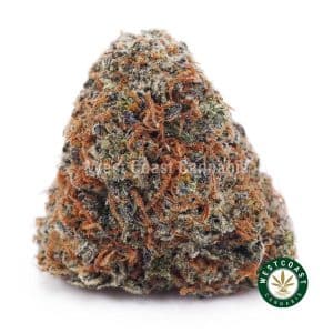 Buy weed Blackberry Kush AAAA wc cannabis weed dispensary & online pot shop
